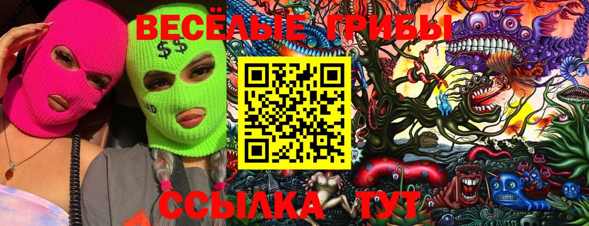 Галлюциногенные грибы Psilocybe Слободской